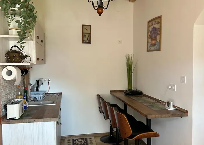 Panorama Terasz Vendeghaz Case de vacanță *